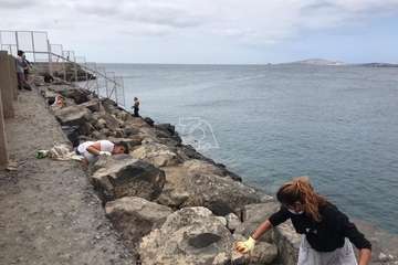 Limpieza de la escollera sur del muelle de Taliarte (Foto Pedro Martel/Wendy Cruz)